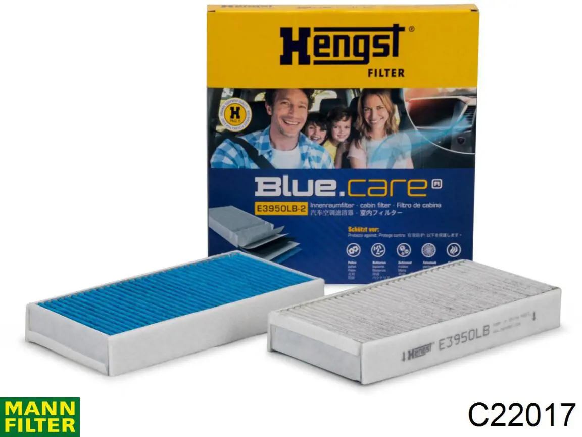 Compre C22017 Mann-Filter Filtro de ar
