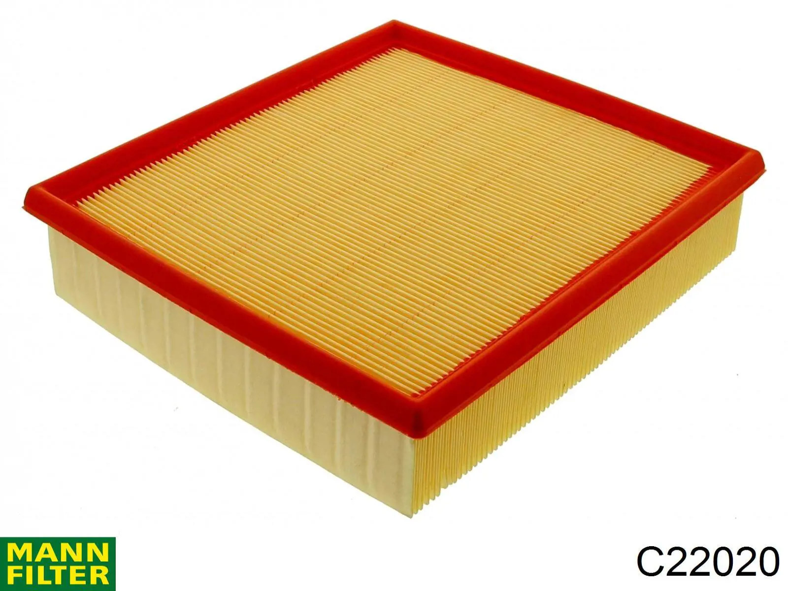 Compre C22020 Mann-Filter Filtro de ar