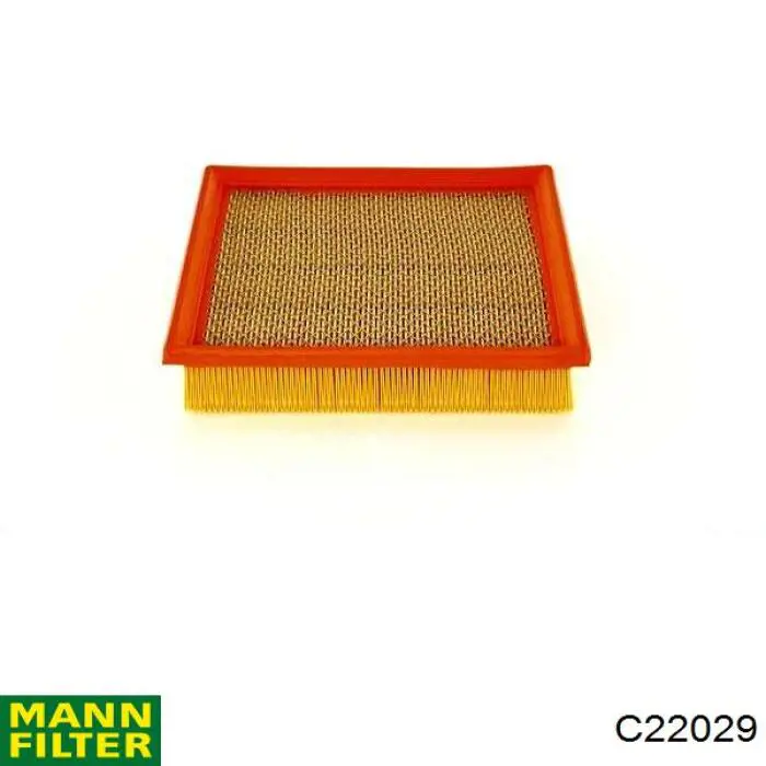 C22029 Mann-Filter Filtro de ar