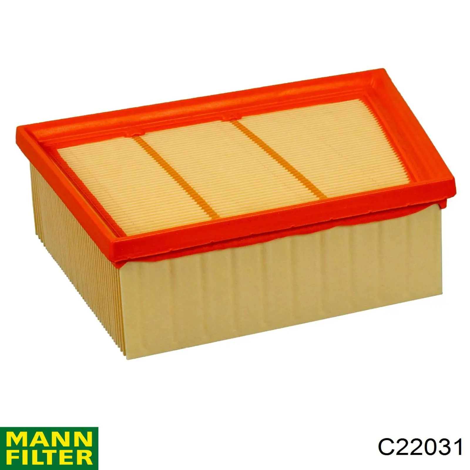 C22031 Mann-Filter Filtro de ar