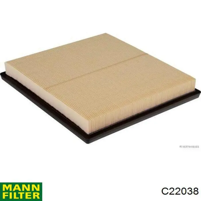C22038 Mann-Filter Filtro de ar