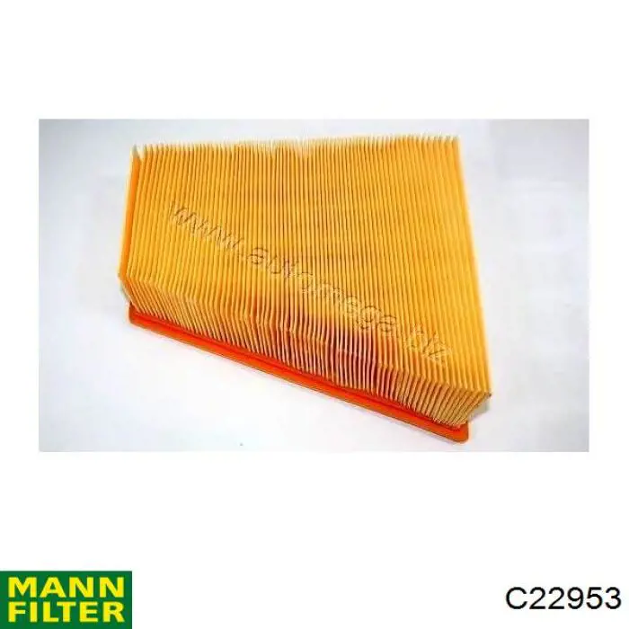 Compre C22953 Mann-Filter Filtro de ar