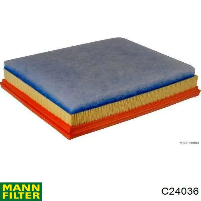 Compre C24036 Mann-Filter Filtro de ar