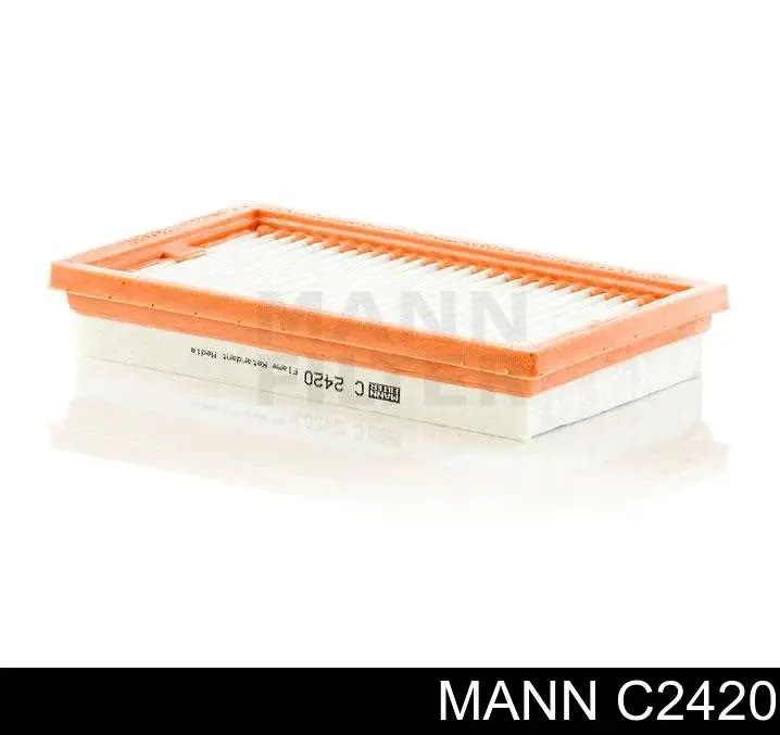 Compre C2420 Mann-Filter Filtro de ar