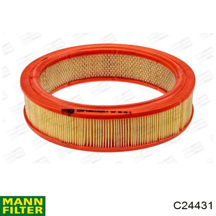 Compre C24431 Mann-Filter Filtro de ar