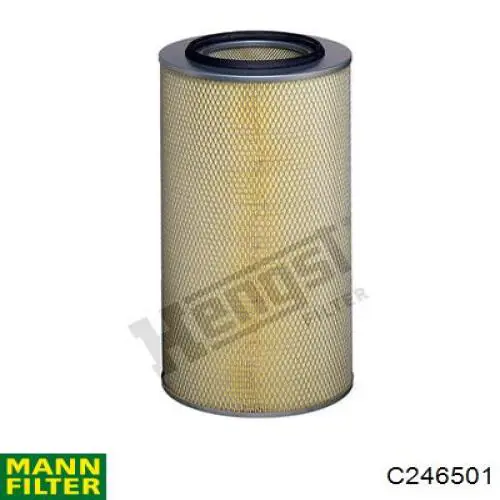 Compre C246501 Mann-Filter Filtro de ar