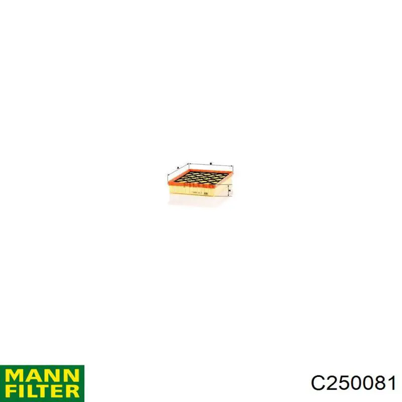 C250081 Mann-Filter Filtro de ar