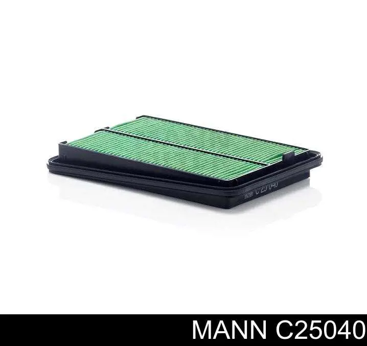C25040 Mann-Filter Filtro de ar