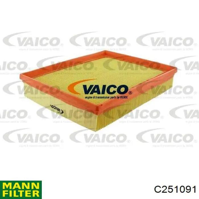 Compre C251091 Mann-Filter Filtro de ar