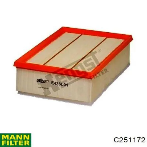 Compre C251172 Mann-Filter Filtro de ar