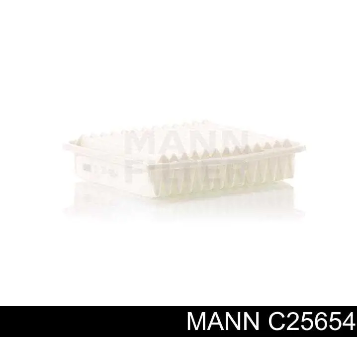 C25654 Mann-Filter Filtro de ar