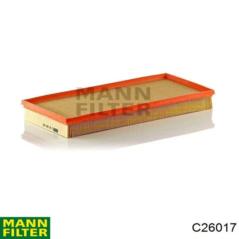 Compre C26017 Mann-Filter Filtro de ar