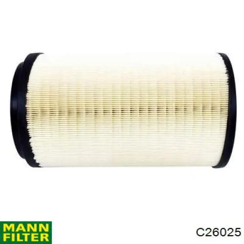 Compre C26025 Mann-Filter Filtro de ar