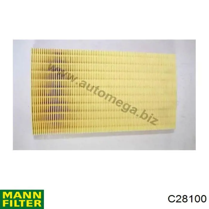 Compre C28100 Mann-Filter Filtro de ar