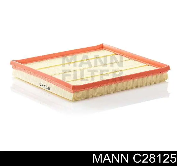 Compre C28125 Mann-Filter Filtro de ar