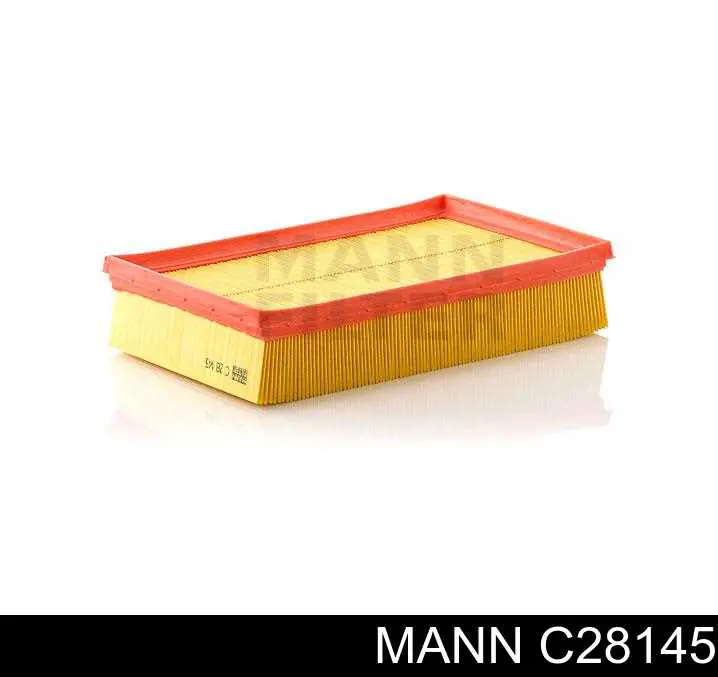 Compre C28145 Mann-Filter Filtro de ar