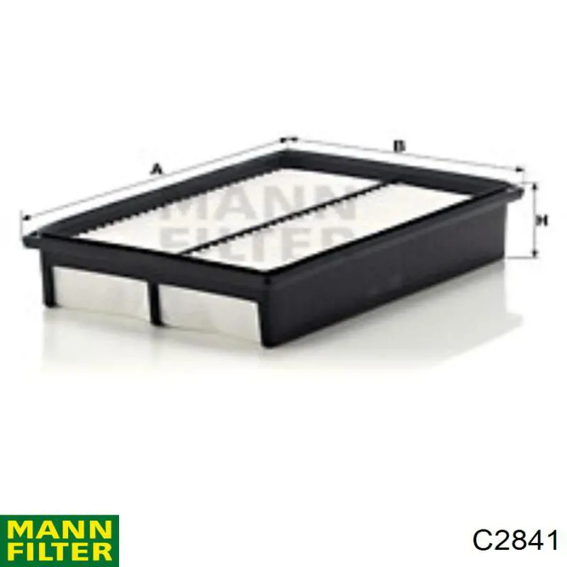 Compre C2841 Mann-Filter Filtro de ar