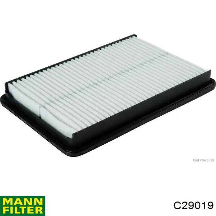 Compre C29019 Mann-Filter Filtro de ar