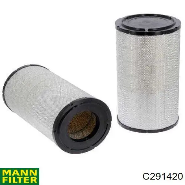 Compre C291420 Mann-Filter Filtro de ar