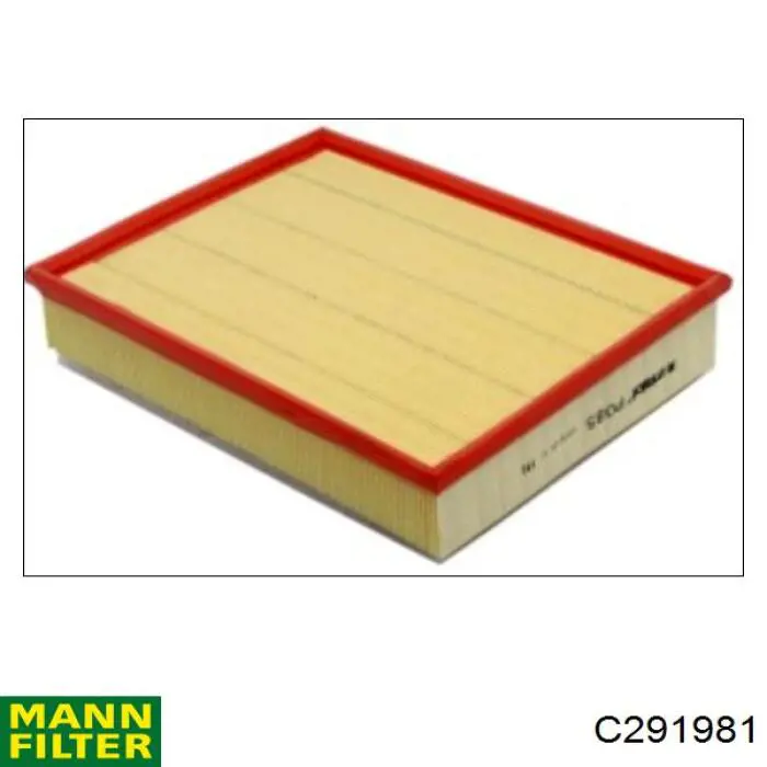 Compre C291981 Mann-Filter Filtro de ar