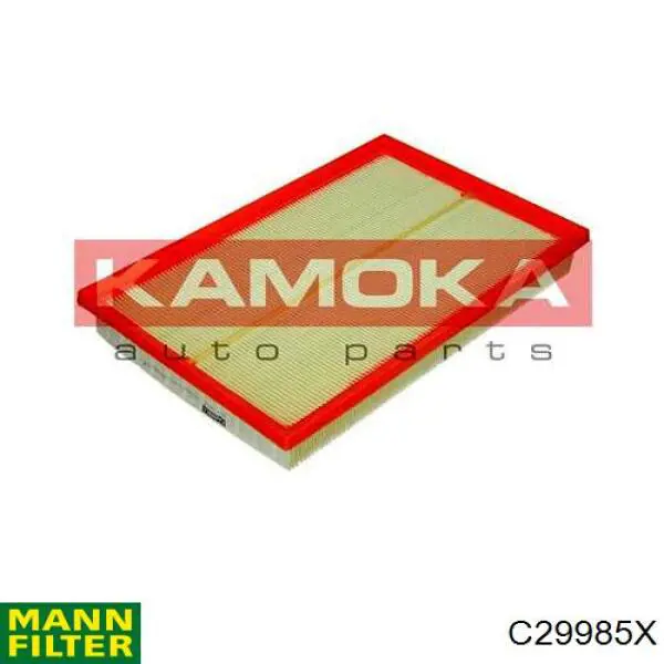 C29985X Mann-Filter Filtro de ar