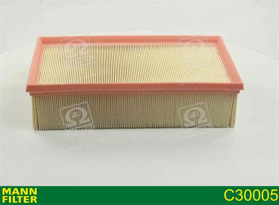 Compre C30005 Mann-Filter Filtro de ar