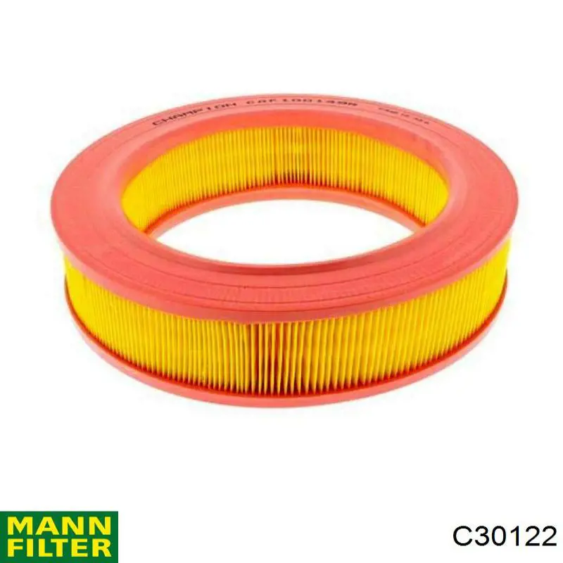 Compre C30122 Mann-Filter Filtro de ar