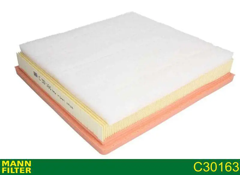 Compre C30163 Mann-Filter Filtro de ar