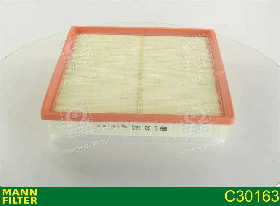 Compre C30163 Mann-Filter Filtro de ar