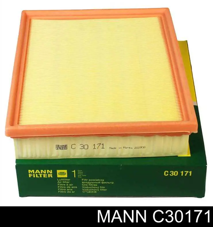 Compre C30171 Mann-Filter Filtro de ar