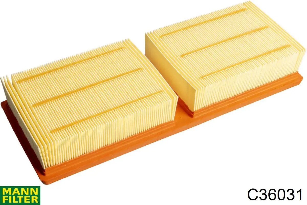 C36031 Mann-Filter Filtro de ar