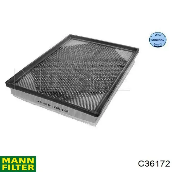 Compre C36172 Mann-Filter Filtro de ar