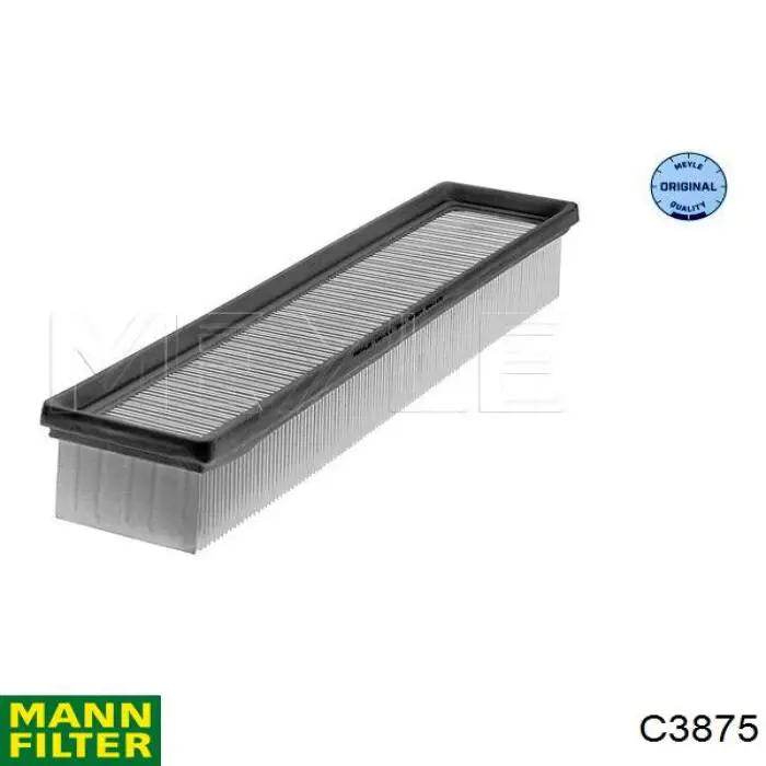 Compre C3875 Mann-Filter Filtro de ar