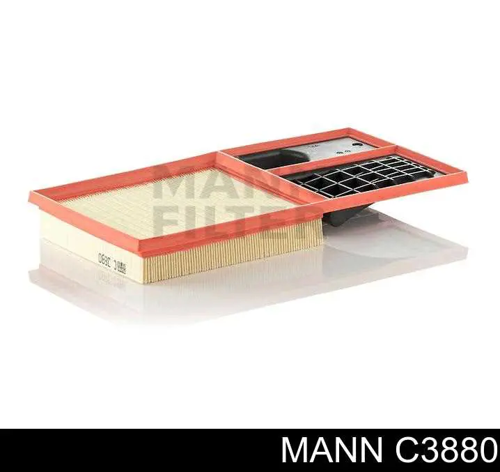 Compre C3880 Mann-Filter Filtro de ar