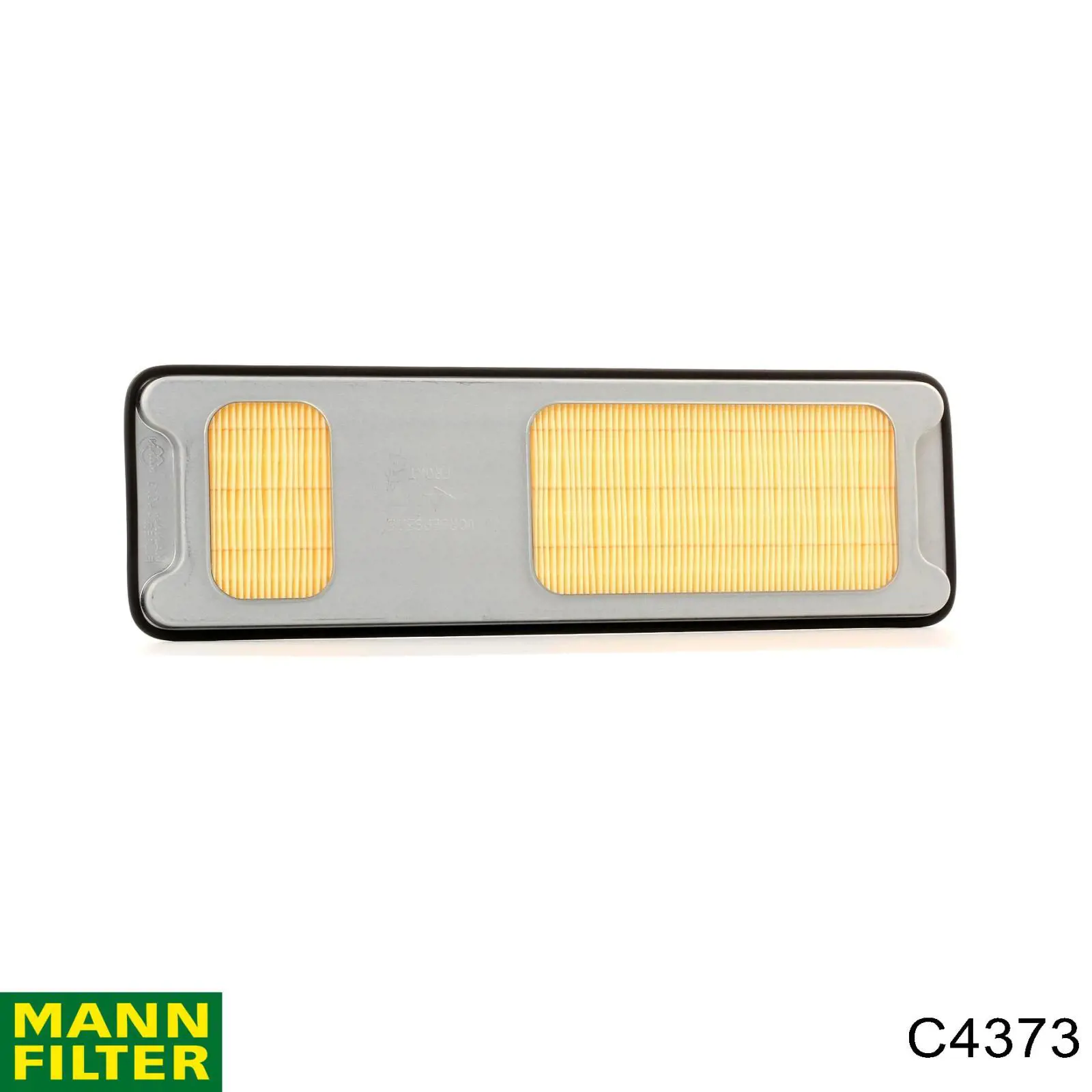 Compre C4373 Mann-Filter Filtro de ar