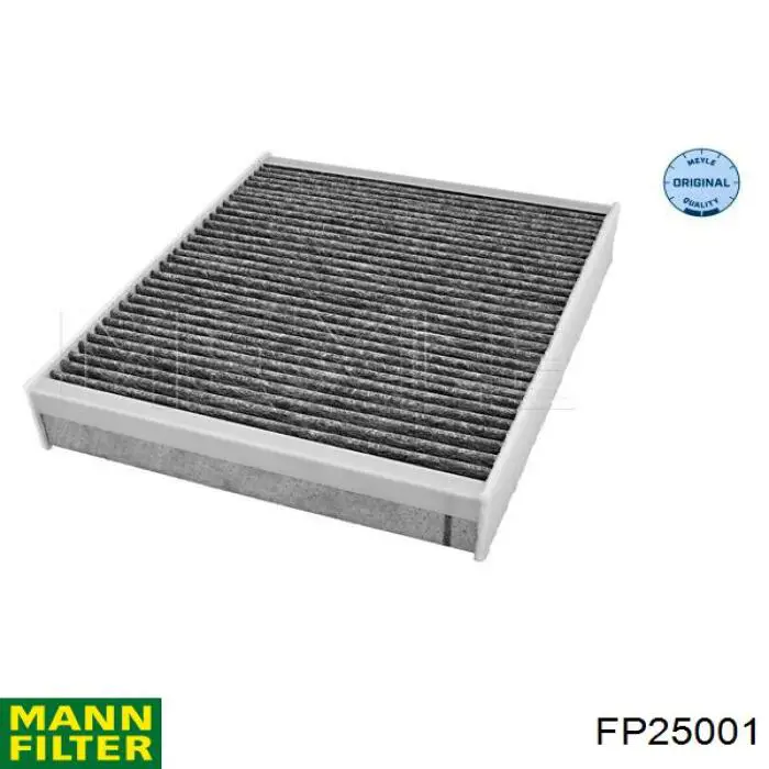 Compre FP25001 Mann-Filter Filtro de salão