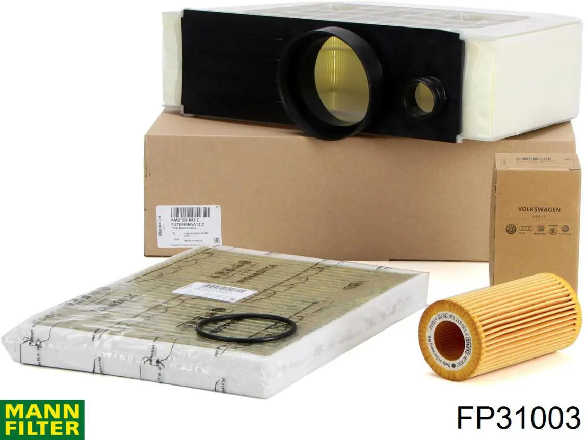 Compre FP31003 Mann-Filter Filtro de salão