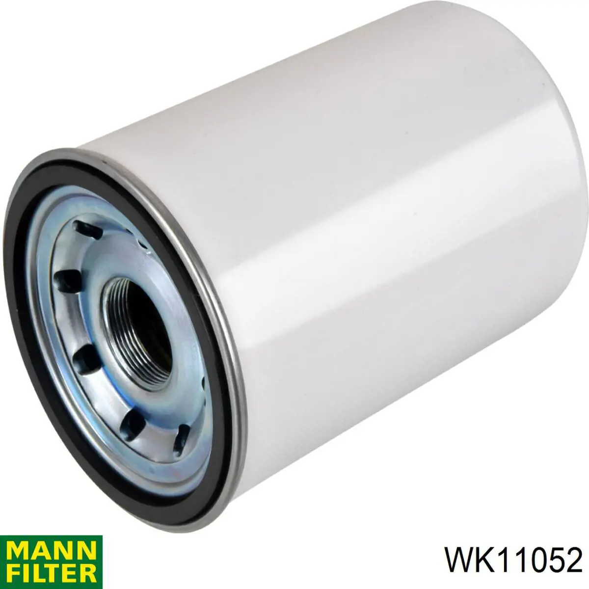 Filtro de combustível 7423889561 Renault (RVI)