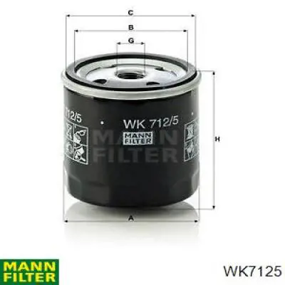 Compre 9011807C Webasto Filtro de combustível