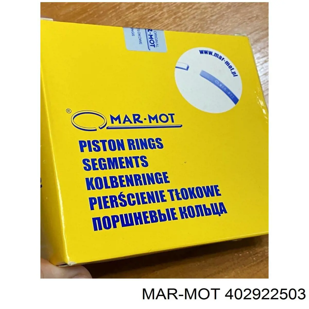  Mar-mot 402922503