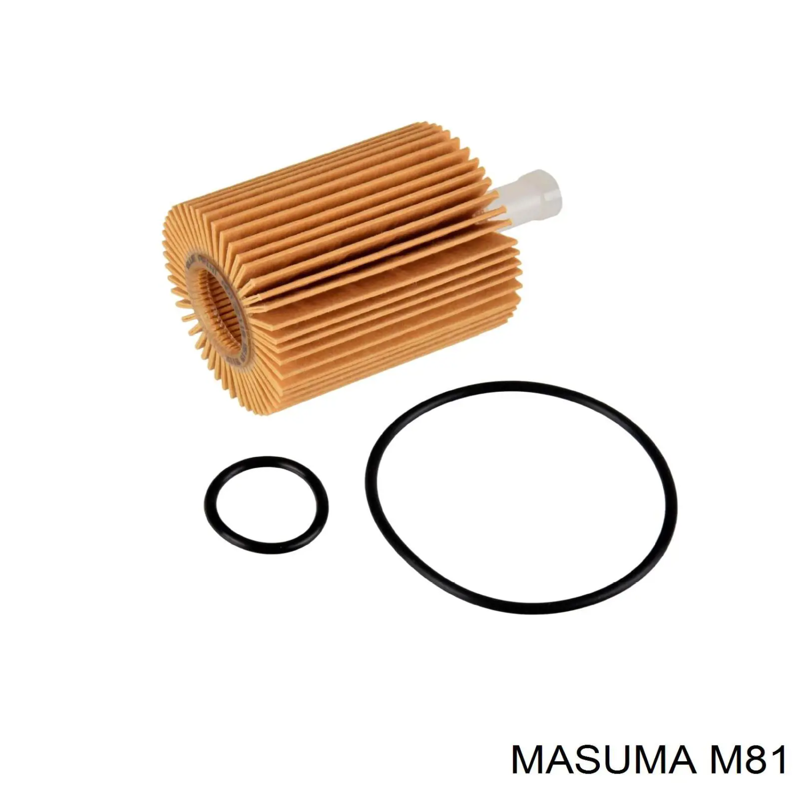  M81 Masuma