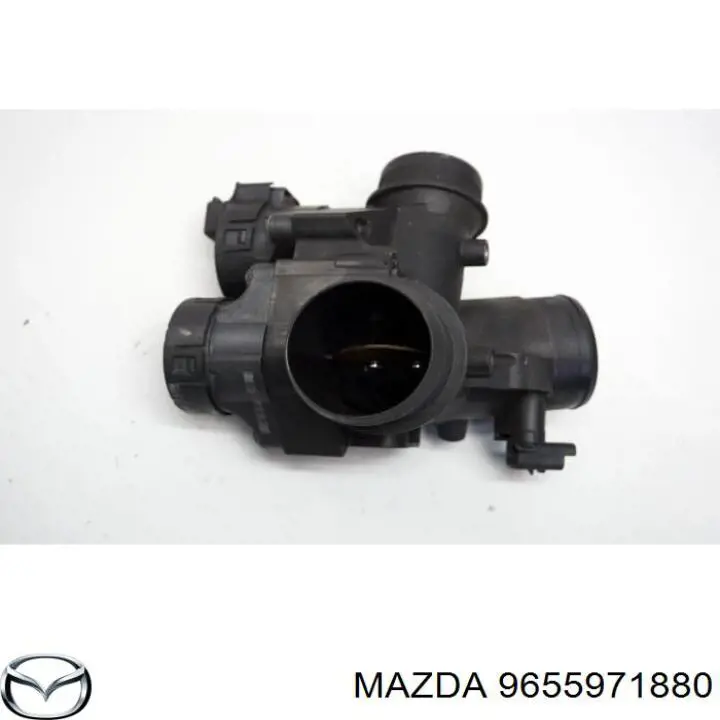9655971880 Peugeot/Citroen Válvula de borboleta montada
