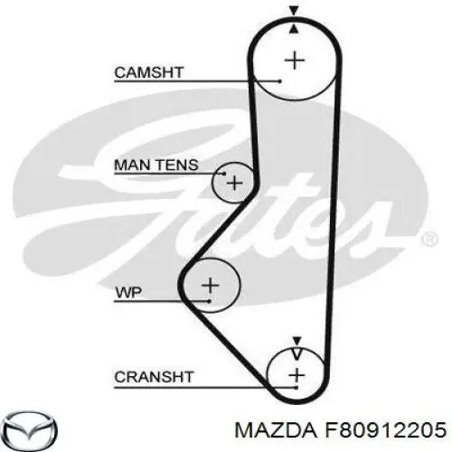 Compre A397R22MM SUN Correia do mecanismo de distribuição de gás