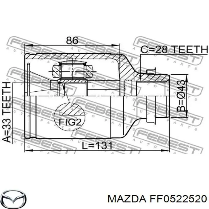 Junta homocinética interna dianteira direita TX524 Ford