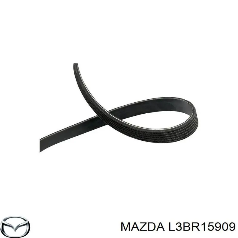 Correia dos conjuntos de transmissão L3BR15909 Mazda