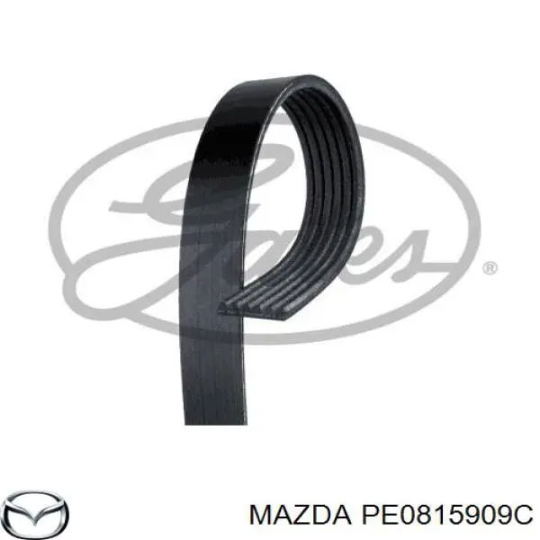 PE0815909C Mazda Correia dos conjuntos de transmissão