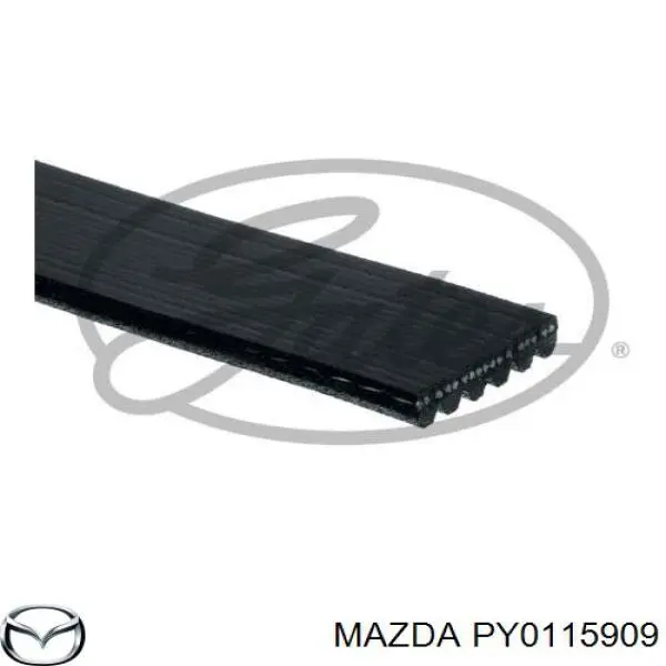 PY0115909 Mazda Correia dos conjuntos de transmissão