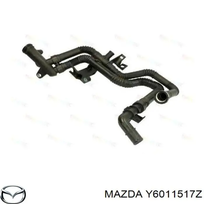 Compre Y6011517Z Mazda Mangueira (cano derivado) de bomba de água de admissão