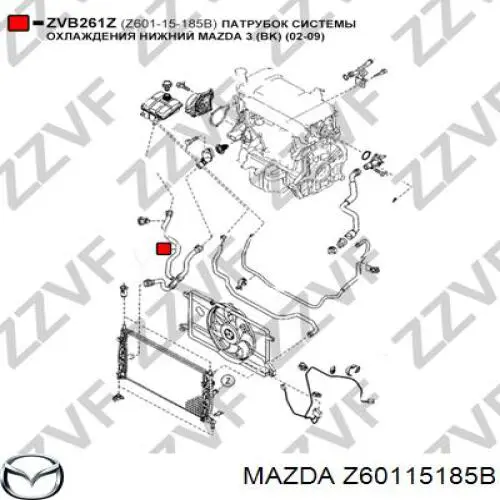 Z60115185B Mazda Mangueira (cano derivado) inferior do radiador de esfriamento