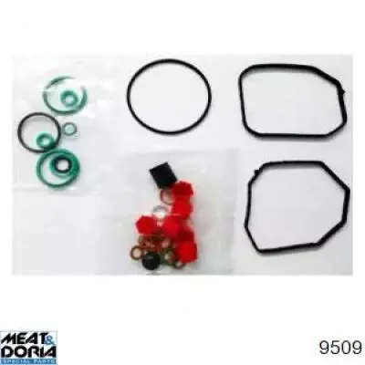 Compre 8029509 Hoffer Kit de reparação da Bomba de Combustível de Pressão Alta